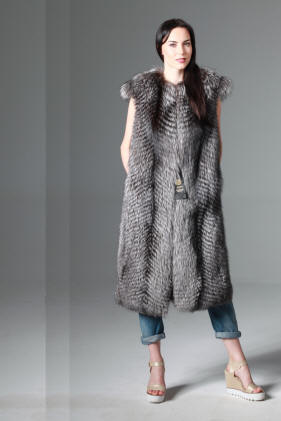 بوليرو الثعلب الفضي