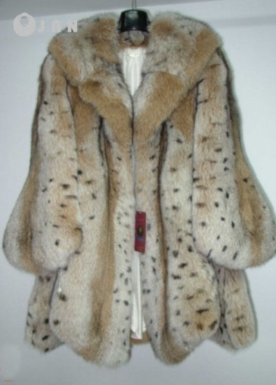 فرو طبيعي، فرو ثعلبي، جلد شينشيلا 13